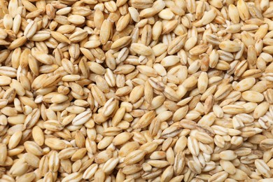 Dry pearl barley as background, top view