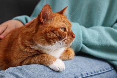 Photo of Woman petting cute cat at home, closeup