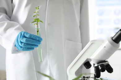 Lab assistant holding test tube with plant on blurred background, closeup. Biological chemistry