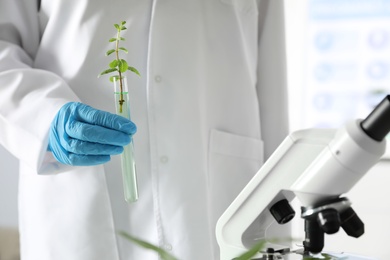 Photo of Lab assistant holding test tube with plant on blurred background, closeup. Biological chemistry