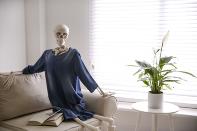 Human skeleton with book on sofa indoors