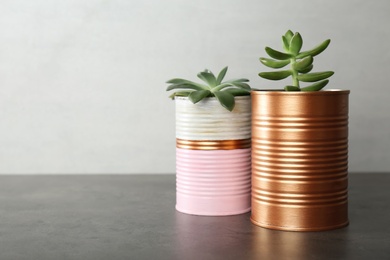 Photo of Echeveria plants in color tin cans on grey stone table. Space for text