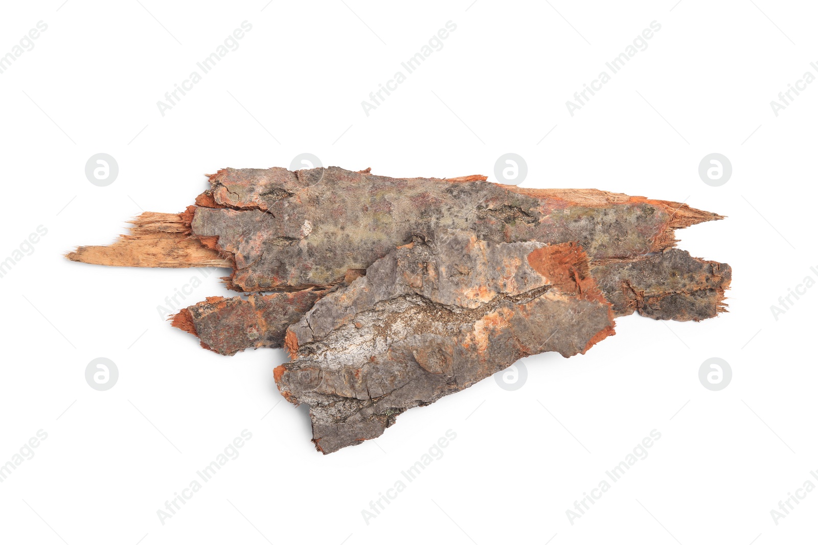 Photo of Tree bark pieces isolated on white, top view