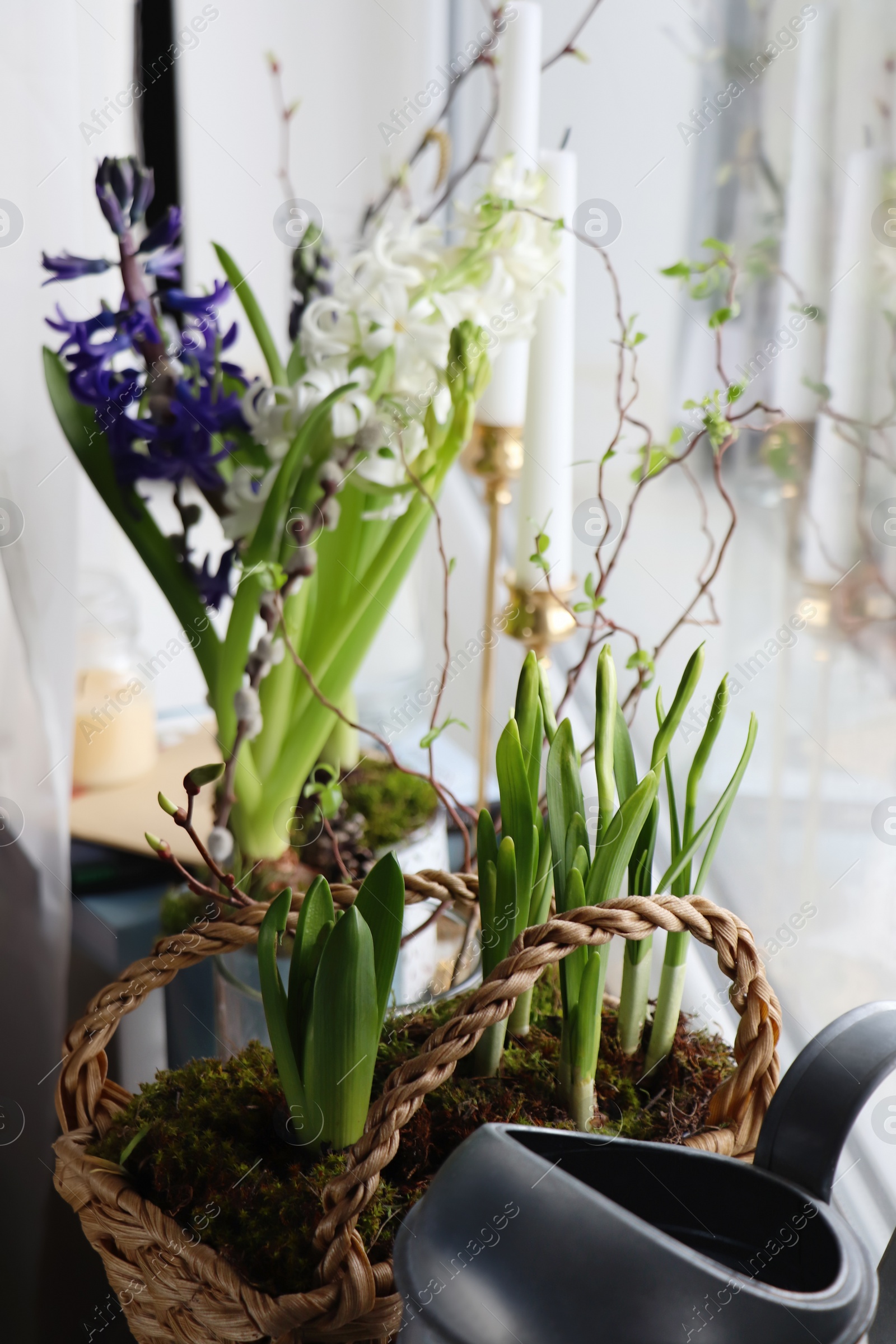 Photo of Beautiful spring plants and decoration on window sill