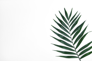 Photo of Beautiful lush tropical leaf on white background, top view