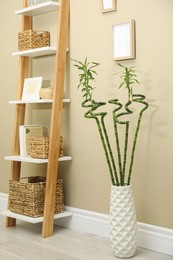 Vase with green bamboo stems and decorative ladder near beige wall in room. Interior design