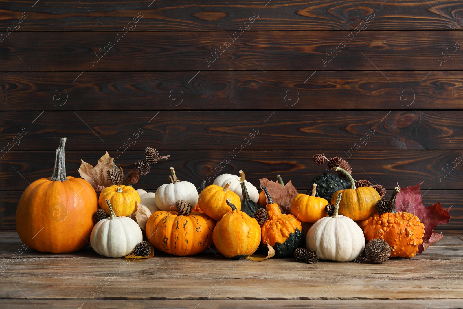 Photo of Thanksgiving day. Composition with pumpkins, leaves and conifer cones on wooden table