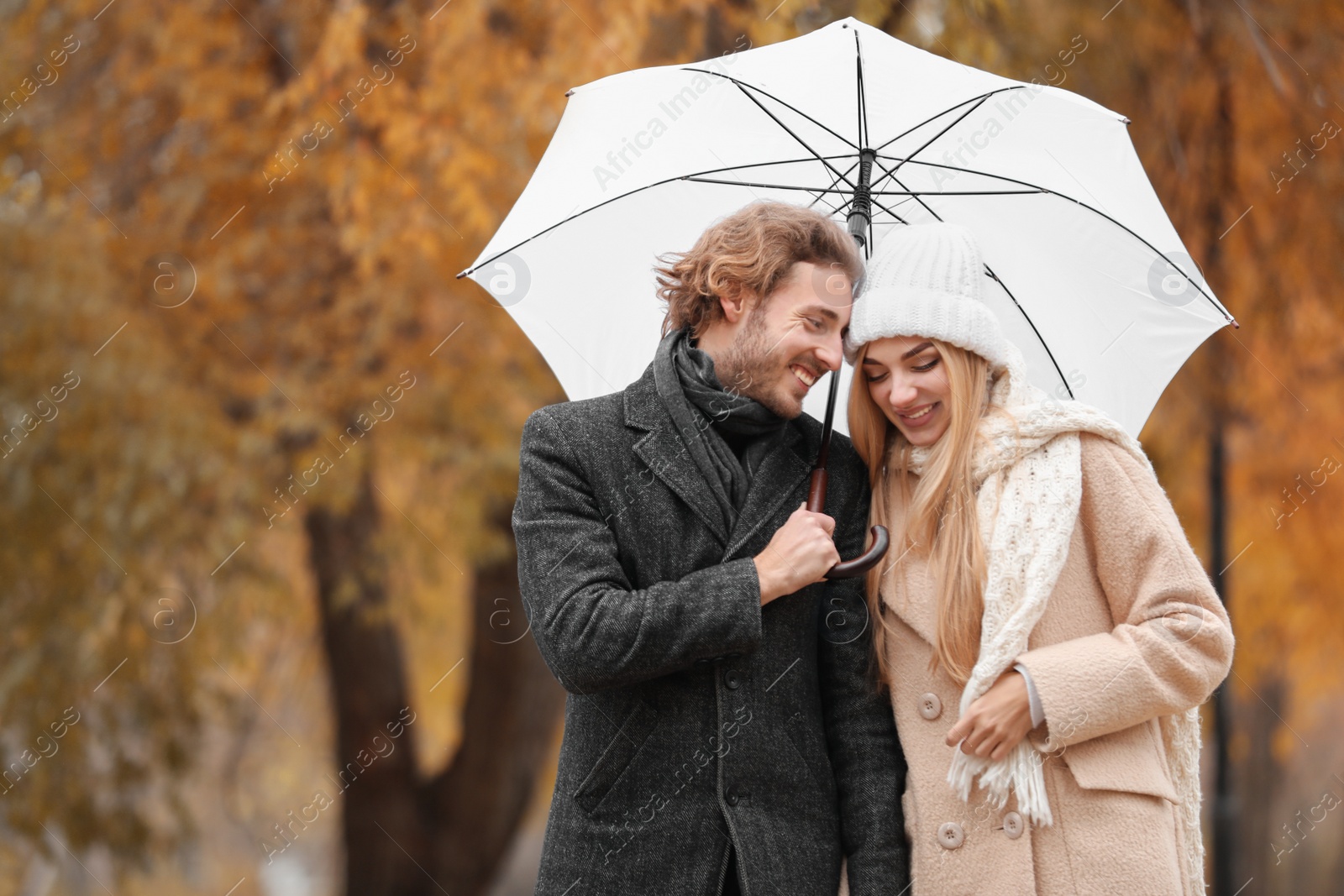 Photo of Young romantic couple with umbrella in park on autumn day