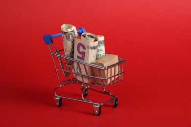 Photo of Small metal shopping cart with cardboard boxes and dollar banknotes on red background