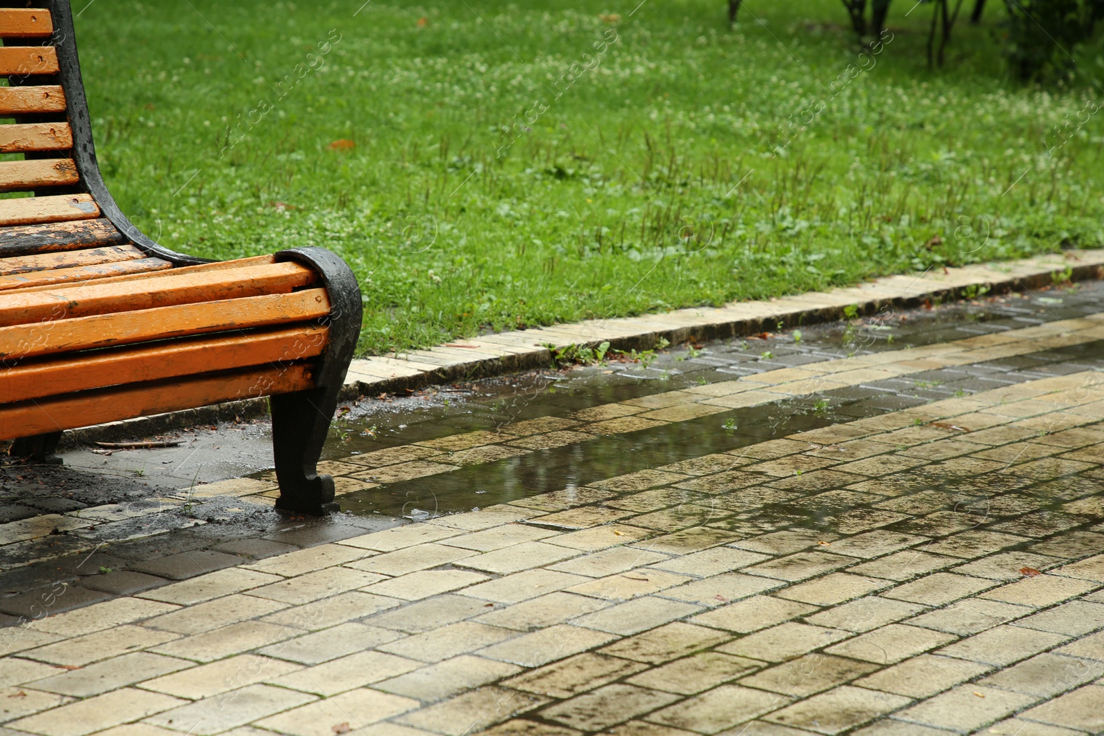 Photo of Puddle of rain water near wooden bench on paved pathway in park