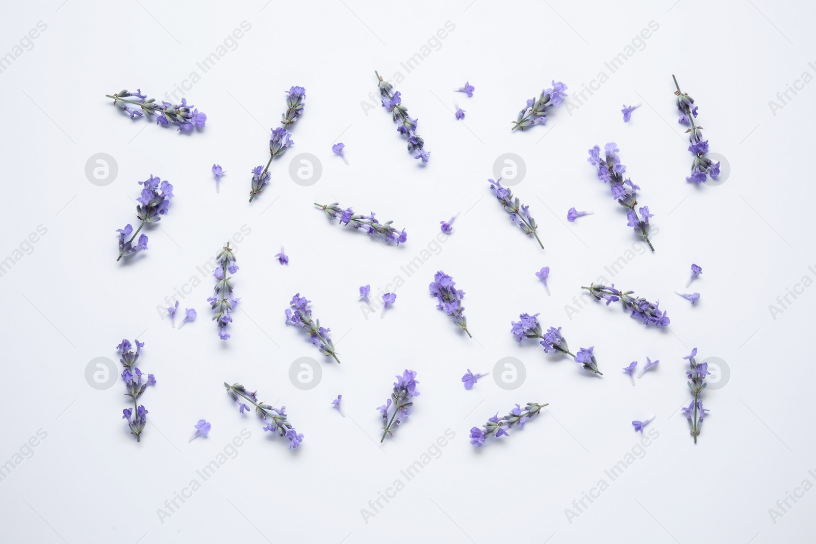 Photo of Beautiful aromatic lavender flowers on white background, flat lay