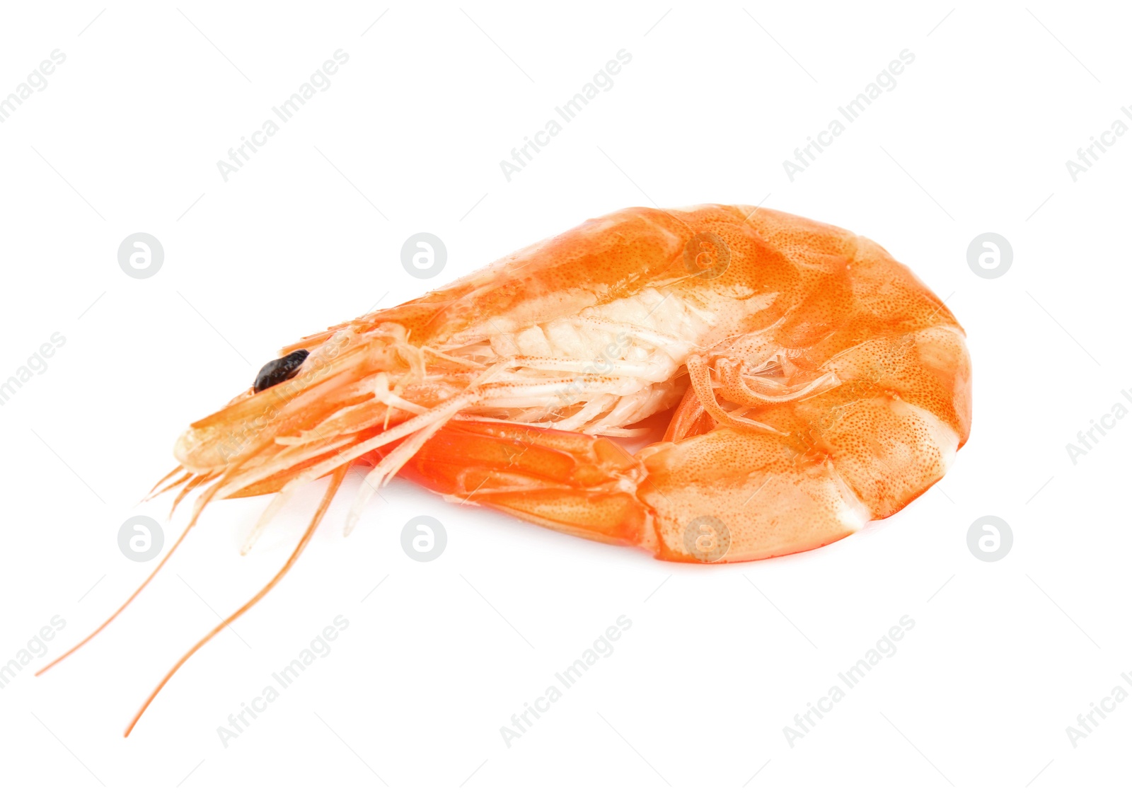 Photo of Delicious cooked whole shrimp isolated on white