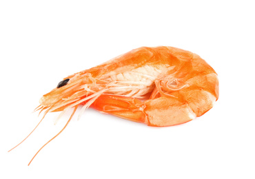 Delicious cooked whole shrimp isolated on white