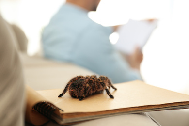 Photo of Striped knee tarantula on notebook indoors, closeup. Space for text