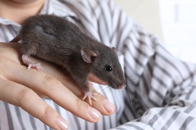 Photo of Woman holding cute small rat, closeup view