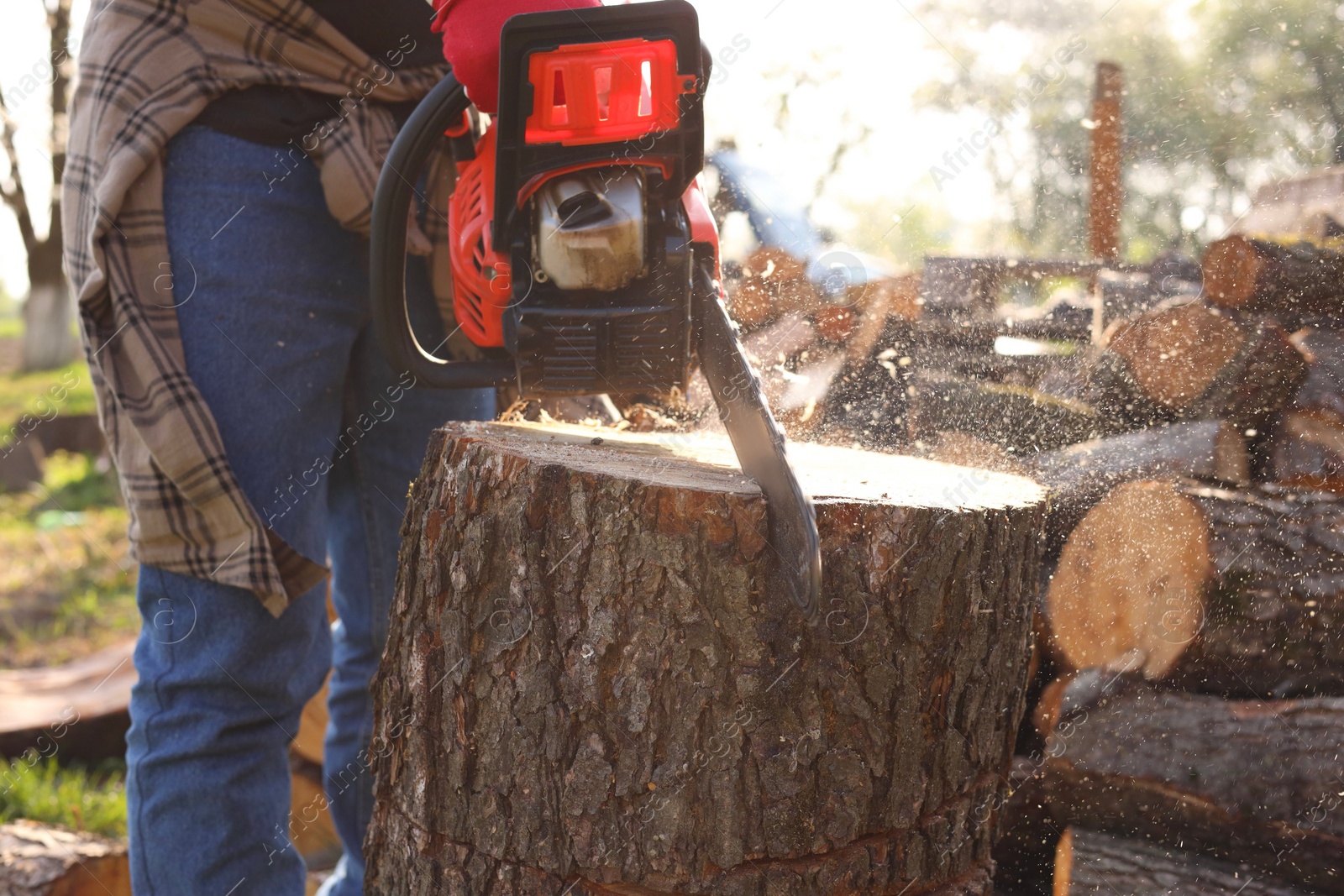 Photo of Man sawing wooden log on sunny day, closeup