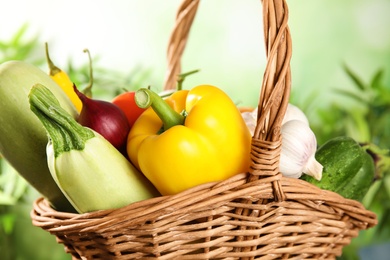 Many fresh ripe vegetables in wicker basket, closeup