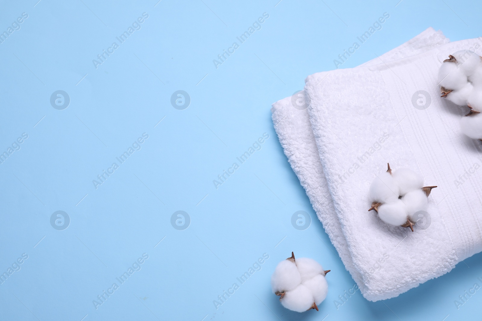 Photo of Fluffy cotton flowers and white terry towel on light blue background, top view. Space for text