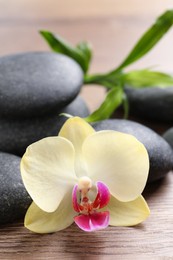 Spa stones, beautiful orchid flower and bamboo sprout on wooden table, closeup