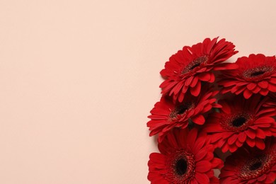 Photo of Bouquet of beautiful bright red gerbera flowers on beige background, top view. Space for text