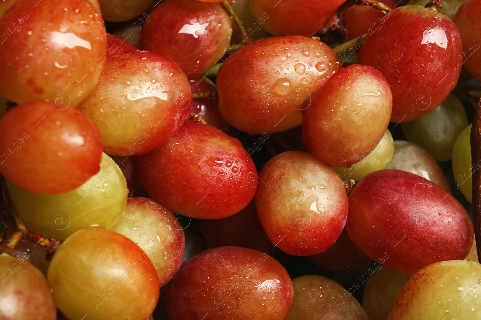 Photo of Fresh ripe juicy grapes as background, closeup