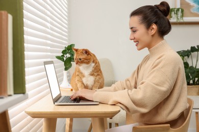 Photo of Woman working with laptop at home. Cute cat sitting on wooden desk near owner