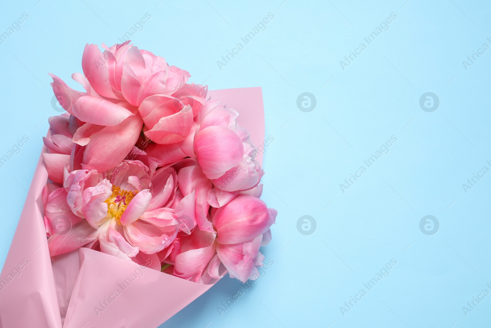 Photo of Beautiful bouquet of pink peonies on light turquoise background, top view. Space for text