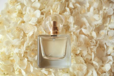 Photo of Bottle of jasmine perfume on white flowers, top view