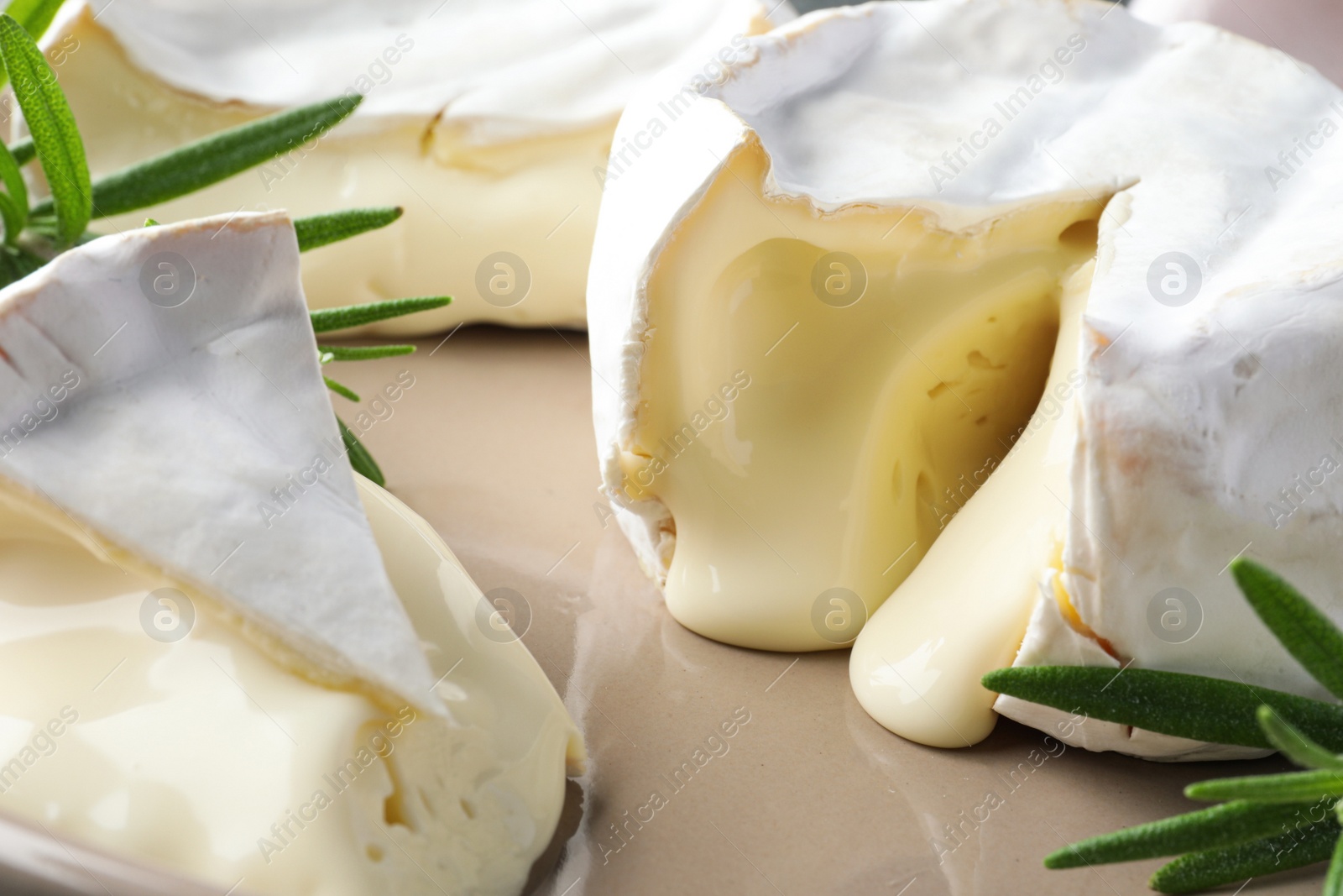Photo of Delicious brie cheese with rosemary on plate, closeup