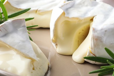 Photo of Delicious brie cheese with rosemary on plate, closeup