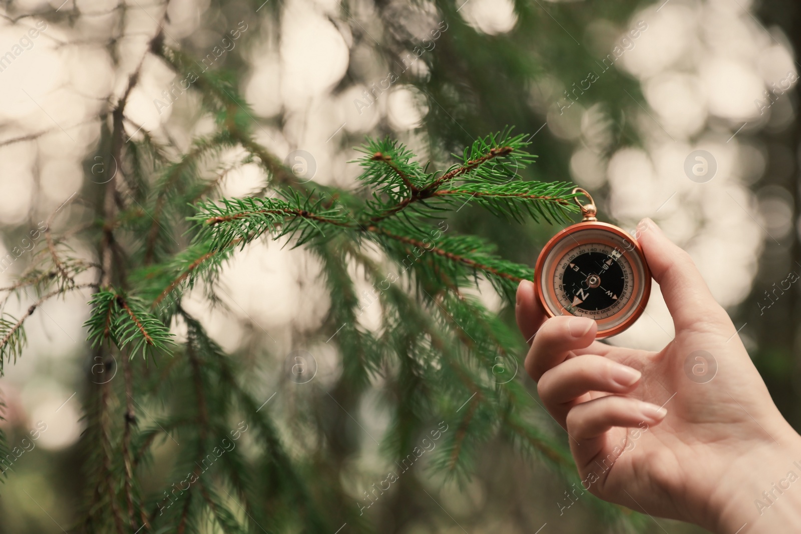 Photo of Woman checking modern compass in wilderness, closeup with space for text