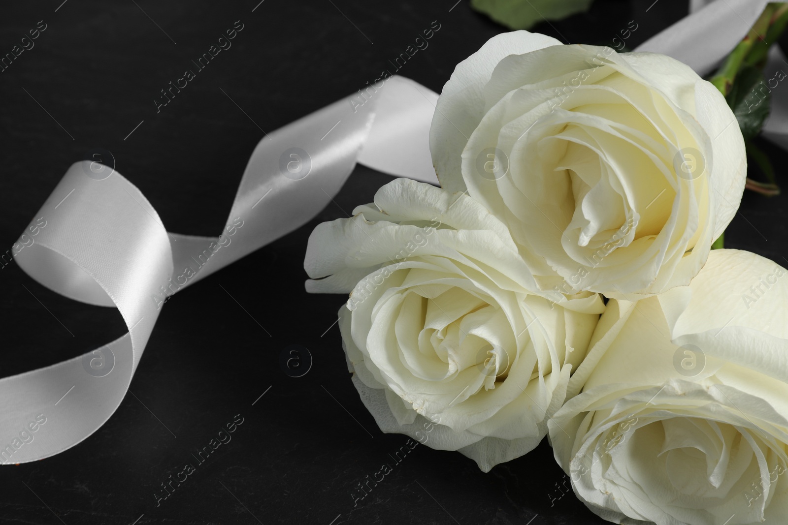 Photo of White roses and ribbon on black table, closeup. Funeral symbols