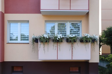 Photo of Balcony decorated with beautiful blooming potted plants