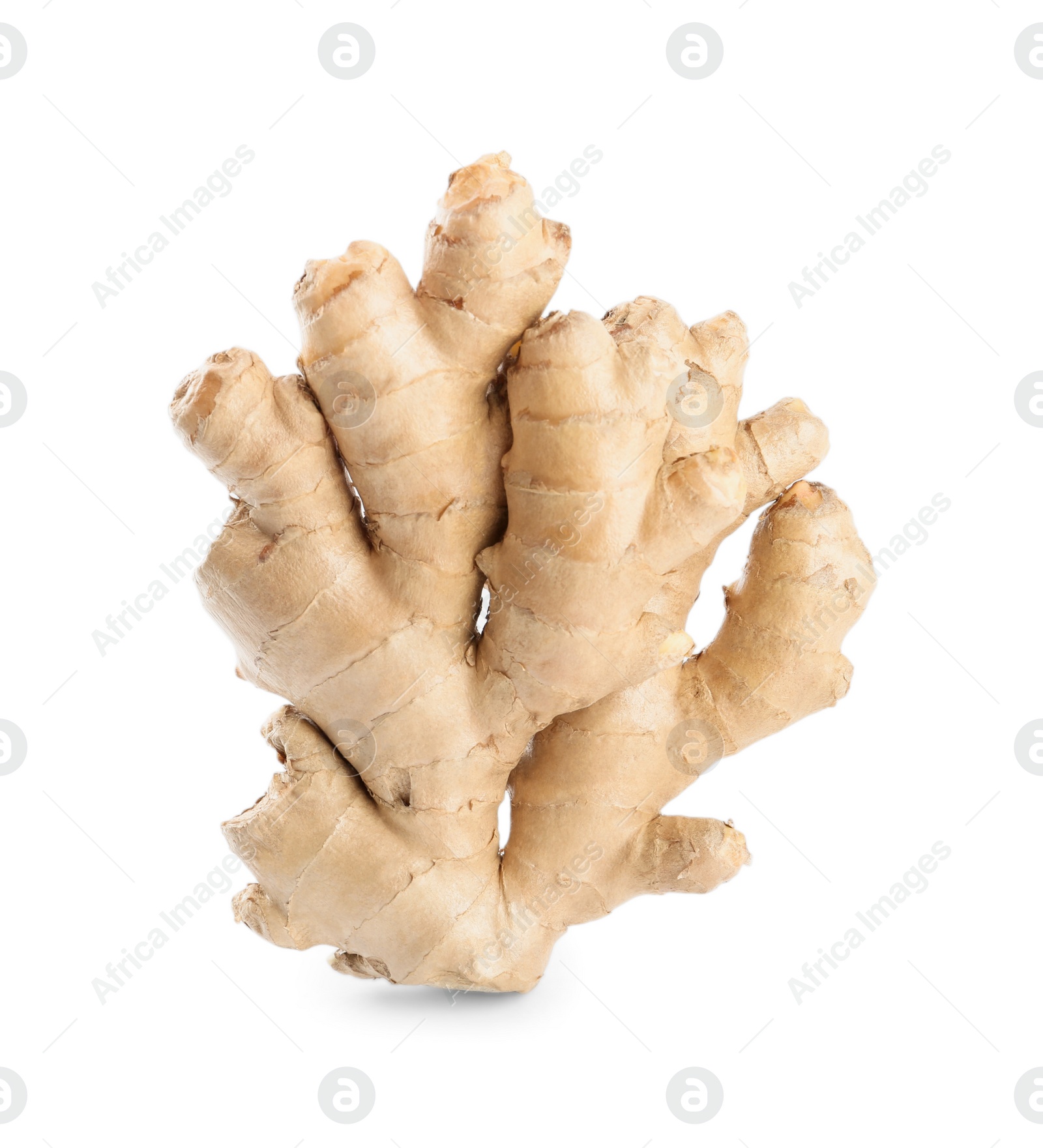 Photo of Whole fresh ginger root isolated on white