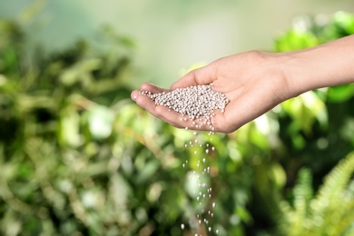 Photo of Woman pouring fertilizer on blurred background, closeup with space for text. Gardening time