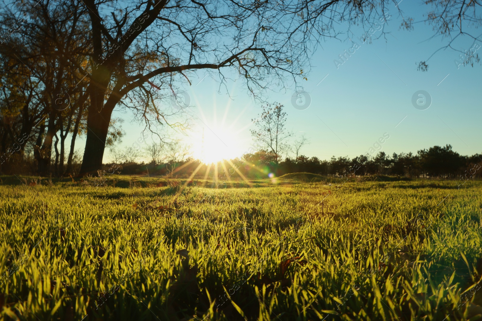 Photo of Picturesque view of beautiful countryside at sunset