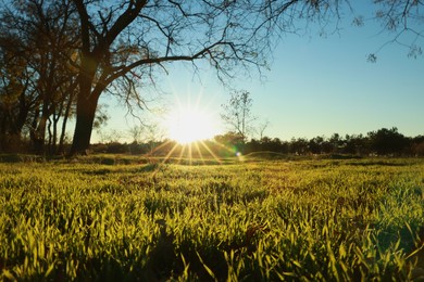 Photo of Picturesque view of beautiful countryside at sunset