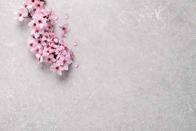 Photo of Sakura tree branch with beautiful pink blossoms on light stone table, flat lay. Space for text