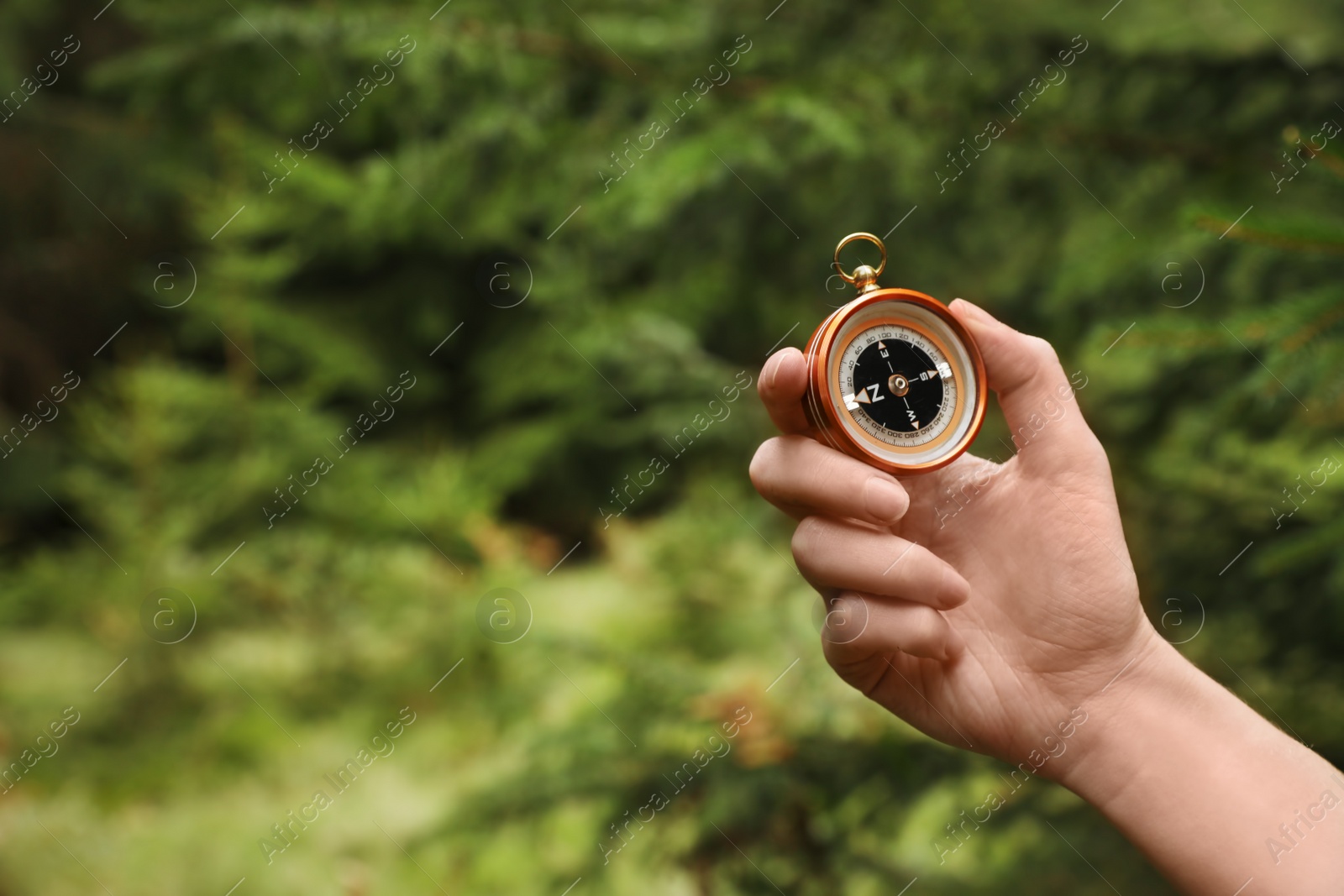 Photo of Woman checking modern compass in wilderness, closeup with space for text