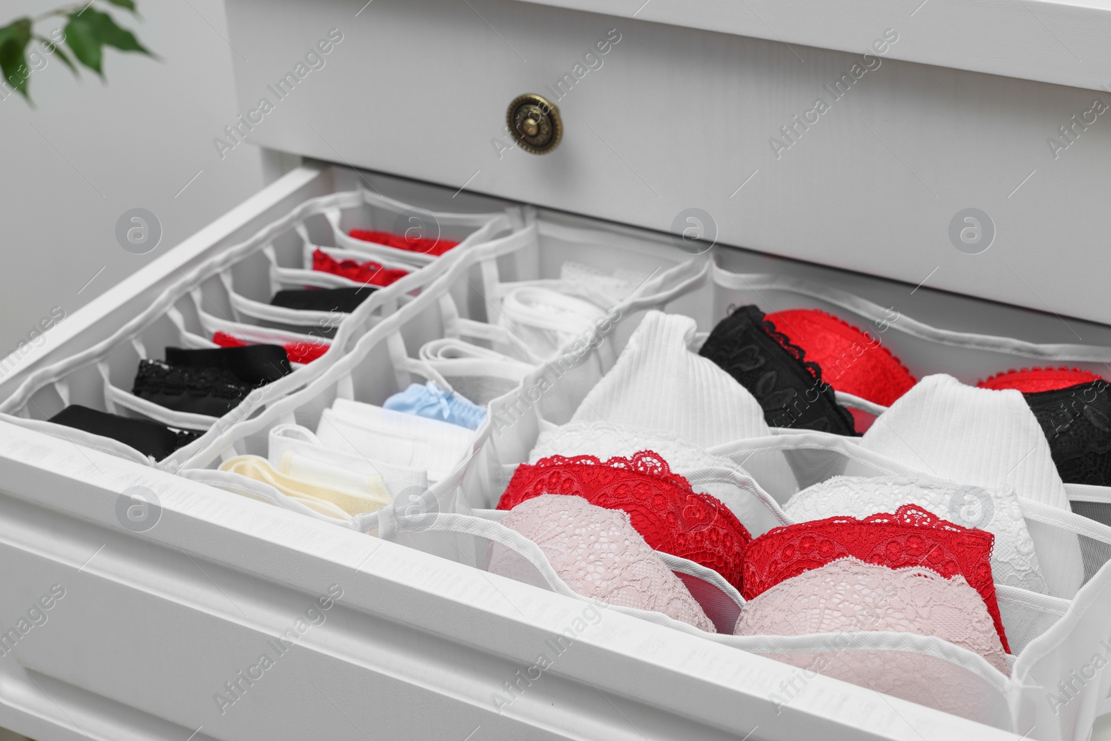 Photo of Organizers with beautiful women's underwear in drawer, closeup