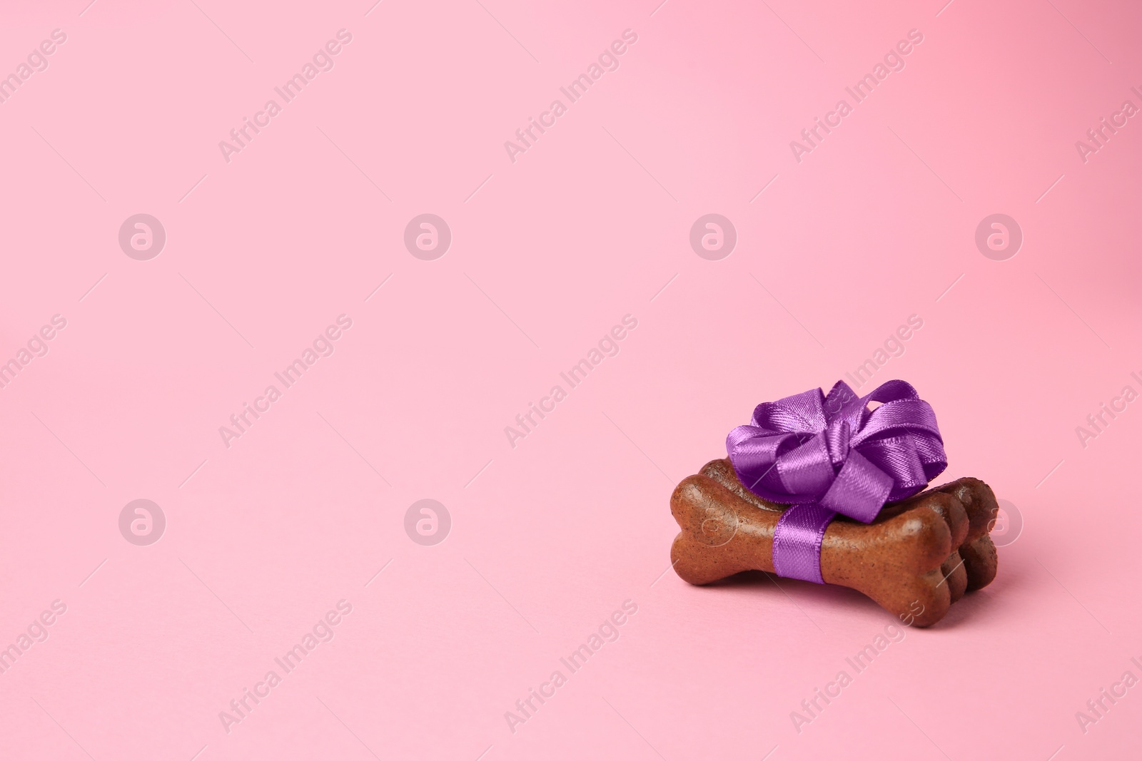 Photo of Bone shaped dog cookies with purple bow on pink background, space for text