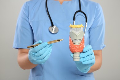 Endocrinologist showing thyroid gland model on light grey background, closeup