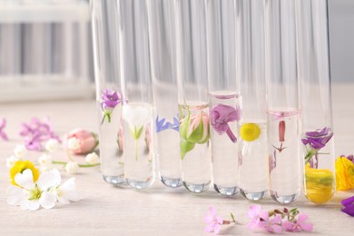 Photo of Test tubes with different flowers on white wooden table. Essential oil extraction