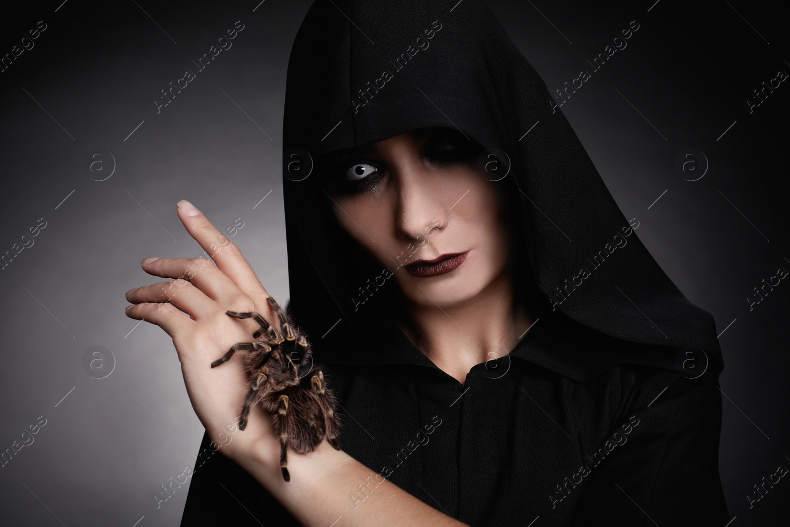 Photo of Mysterious witch with spooky spider on dark background