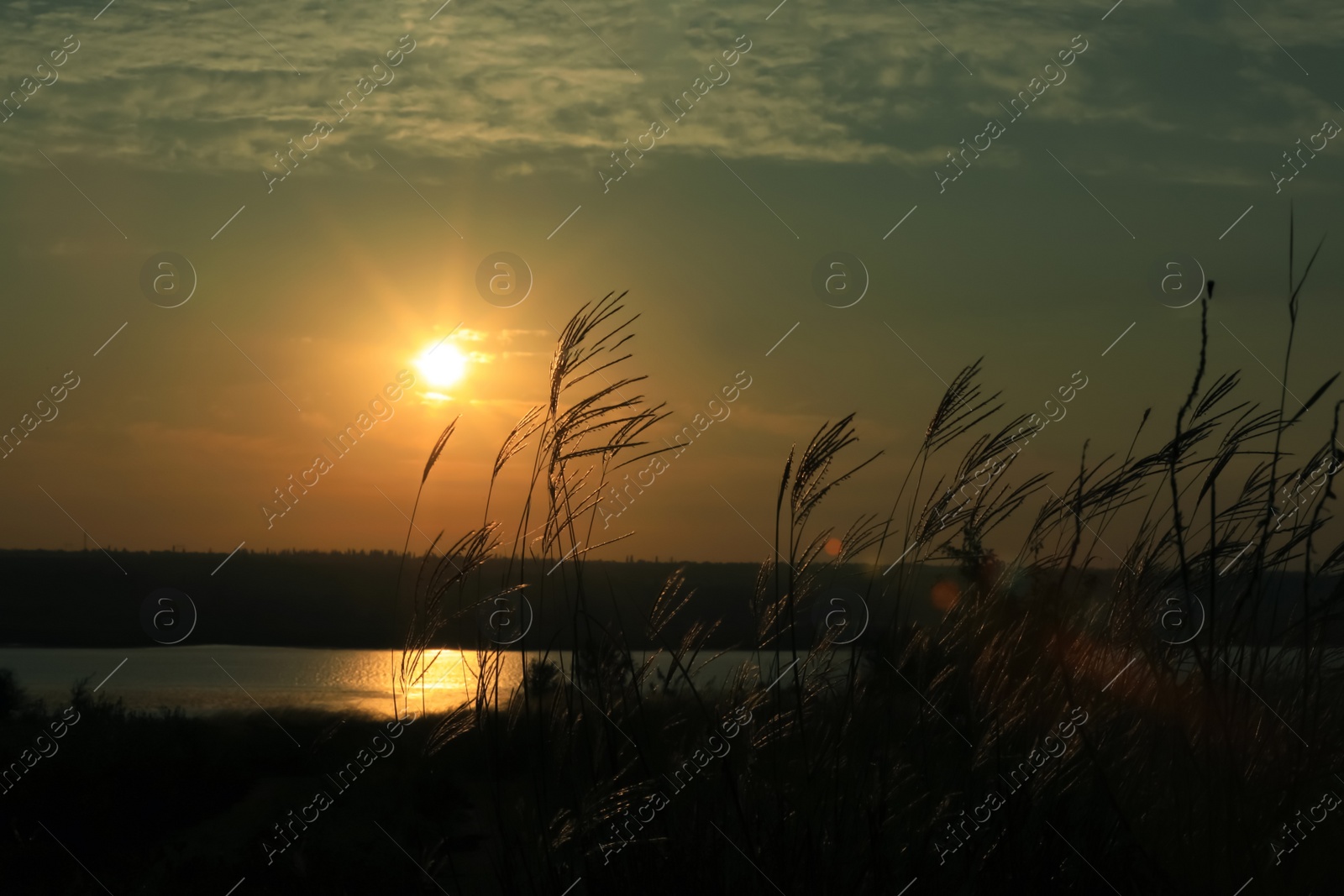 Photo of Picturesque view of beautiful cloudy sky over river at sunrise