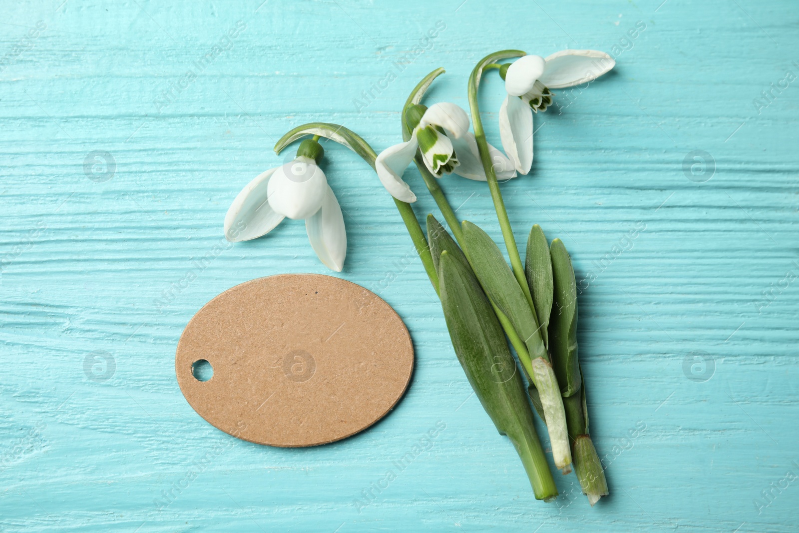 Photo of Fresh spring snowdrop flowers and blank card on blue wooden table, flat lay. Space for text