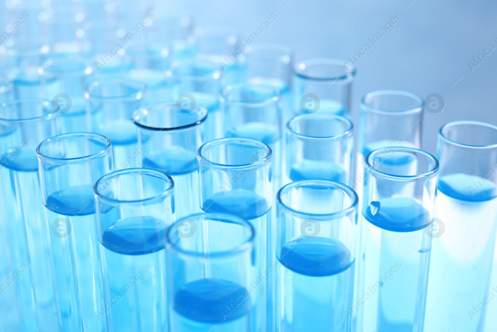 Photo of Many test tubes with light blue liquid, closeup