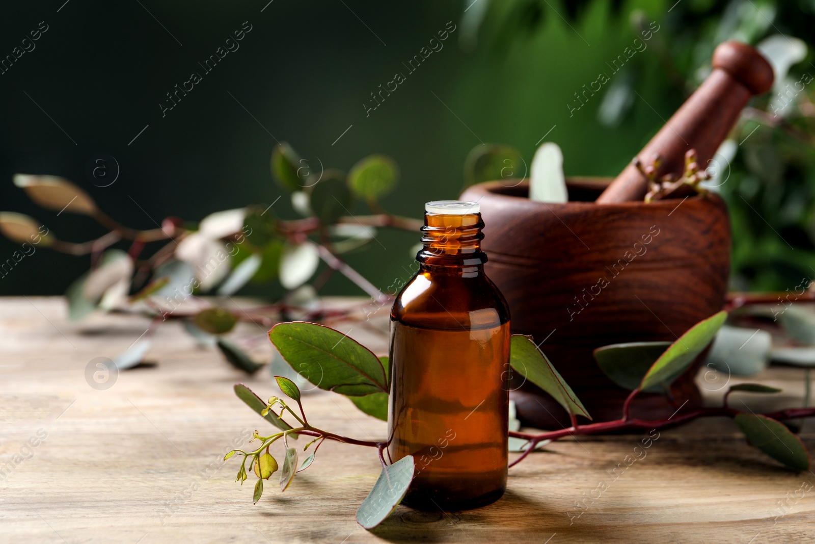 Photo of Bottle of eucalyptus essential oil and plant branches on wooden table