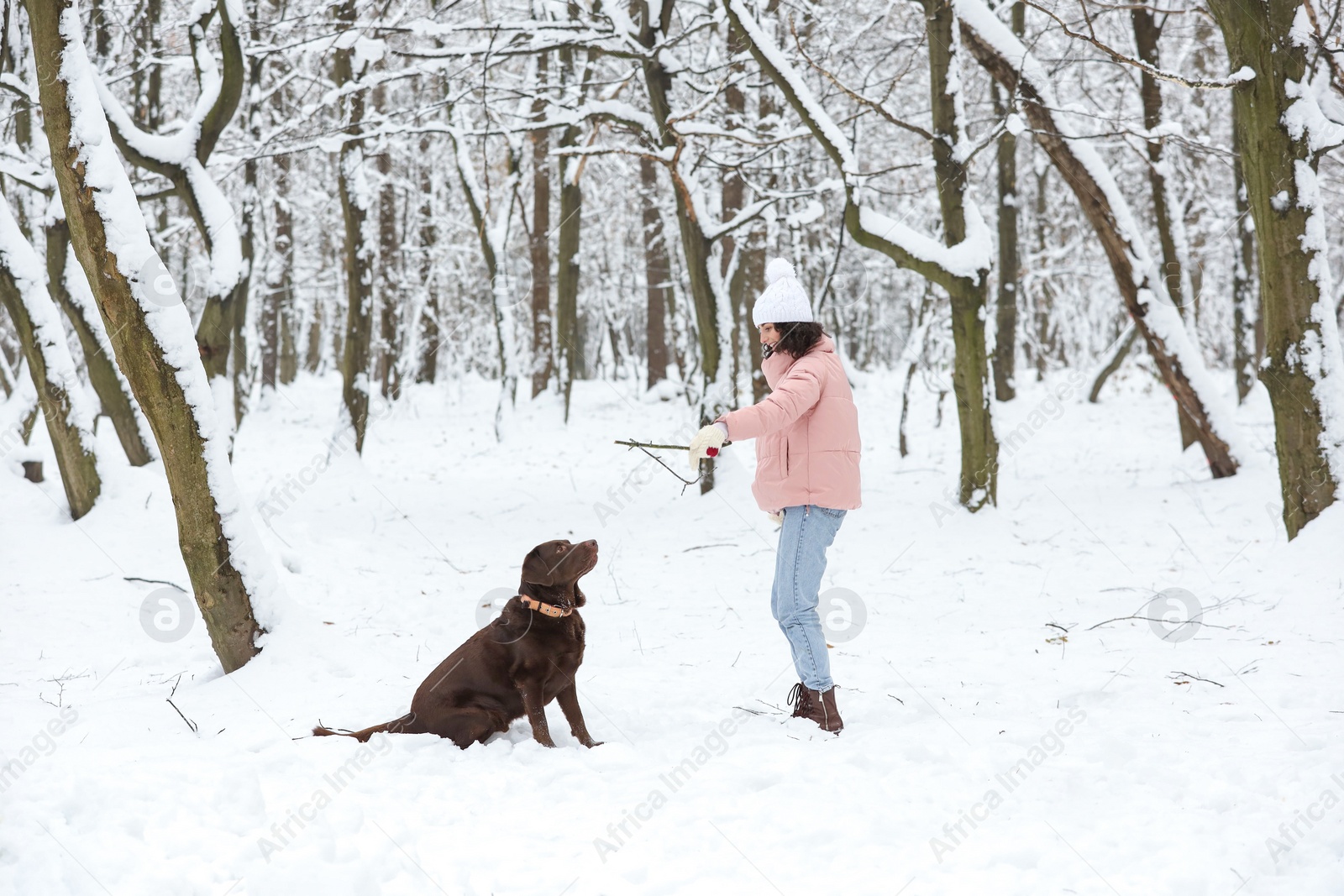 Photo of Woman playing with adorable Labrador Retriever dog in snowy park