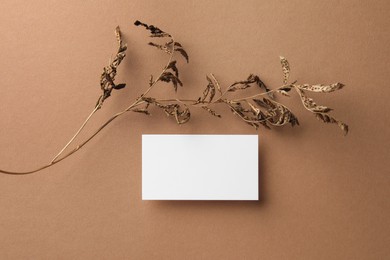 Empty business card and dried plant on dark beige background, top view. Mockup for design